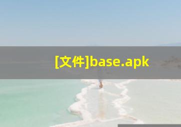 [文件]base.apk